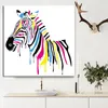 Painting HD Prints Abstract Zebra Colorful and Black Watercolour Oil on Canvas Art Wall Picture for Living Room Sofa Cuadros