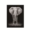 Malowanie dzikich zwierząt Czarno -biały afrykański słonia płótno plakaty malowanie i gra