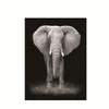 Dipinto di animali selvatici Elefante africano in bianco e nero Dipinto su tela Poster e stampe Modern Wall Art Picture Living Room Cuadros