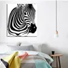 Painting HD Prints Abstract Zebra Colorful and Black Watercolour Oil on Canvas Art Wall Picture for Living Room Sofa Cuadros