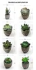 Dekorative Blumen 1/3/6 PCS K￼nstliche Sukkulentenpflanzen Plastik Mini Bonsai gef￤lschter Simulationsball f￼r B￼ro -Wohnkultur