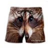 Мужские шорты Phechion Мужчины/Женщины Животные raccoon 3D Print Casual Fashion Streetwear Мужчины Спортивные A273