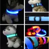 Collier de chien laisses lumière nuit sécurité LED clignotant lueur fournitures pour animaux de compagnie chat chien accessoires petit