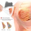 Body sculpting minceur machine fesses lifter équipement de beauté pour l'élargissement du sein
