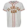 Usa College Florida A M University Famu Jersey Men Women Youth Baseball Jerseys qualquer nome e número Double Stitched