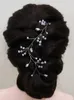 Светники серебряные женщины с повязкой на голову хрустальный ванна с чем -л. Простые тиара свадебные волосы