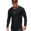 Magliette da uomo Tinta unita Manica pieghettata Patch dettaglio Maglietta a maniche lunghe Uomo Primavera Casual Top Pullover Moda Slim Basic Top 220905