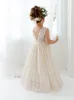 Vestidos de menina Plus Size Princess Girls Cotton Lace Party Dress Long Dress Bebês crianças Flores de casamento Crianças Crianças 2 4 6 8 10 12 14