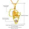 Pendentif Colliers Kpop Hip Hope Lion Avec Cristal Zircone Collier Femmes Hommes Or/Argent Couleur Pendentif Bijoux P164