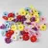 Faux kwiatowa zieleń 50pcs Gerbera Słoneflower Silk Symulacja Flower Mały Chrysant Wreather DIY Materiał Flower Dekoracja J220906