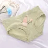 Külot Teenage Panties Floral Baskılı Damgarlar Genç Kız Kılavuzları Konforlu Pamuk Grenn Kids iç çamaşırı 20220906 E3