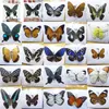 Deko-Objekte, Figuren, 38 echte Schmetterlingsexemplare, Insektenproduktion, Charme, Heimdekoration, Accessoires für Wohnzimmer, Sammlung Art 220906