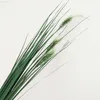 Faux Floral Greenery 13m Artificial Reed Grass Fake Grass Plástico Cão Caurra Decoração Interior J220906