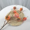 Faux Floral Greenery Greenery Symulation Simulation Persimmon Big Persimmon Square Persimmon Fruit Branch Longo Decoração de Flor Flower Furnishings J220906