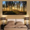 Toile peinture bois soleil Kyoto japon affiches et impressions forêt paysage scandinave mur Art photo pour salon Cuadros