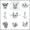 Silver Dog Charm 925 Sterling Sier French Bldog Charms Schnauzer Huskie Poodle P￤rlor Fit Original Armband DIY JEYCT