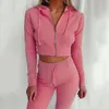 Womens Two Piece Pants Casual Two Piece Set Women Outfits Set Long Sleeve Hooded Short Crop Top Long Skinny Pants Leggings 2 Piece Set Women Tracksuit 220906