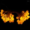 Strings 2/3/6M LED Holiday Light Chain Ball String Lights USB Powered Bulb Garland Waterproof Outdoor Wedding Party Decoration