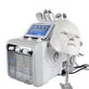 多機能美容装備H202 Hydra Small Bubble 7 in 1 Hydro Microdermabrasion Aqua Peel Beauty Facial Machine Water皮膚剥離110V/220V