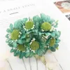 Faux Floral Greenery упакованные шелковые ромашки Gerbera Stems Bouquet Рождественские украшения домашняя гостиная свадьба Diy подарки конфеты Artificial Flowers J220906