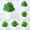 Faux Floral Greenery Planta verde Simulación enlatada Escritorio enlatado Mini planta Bonsai Greening Plantas en maceta Flor artificial Bola de árbol J220906