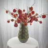 Faux Floral Greenery Greenery Symulation Simulation Persimmon Big Persimmon Square Persimmon Fruit Branch Longo Decoração de Flor Flower Furnishings J220906