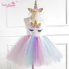 2019 New Unicorn Girls Dresses Kids Boutique Princess Dresses Sequin Birthday Party Tutu Dresses Unicorn Devel 2pcs Kids Count251a