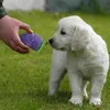 Hondenspeelgoed kauwpakket van 9 piepende huisdier pluche kauw voor puppy's kleine honden drop levering 2022 carshop2006 amdpv