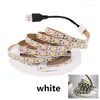 Bandes USB RGB LED bande lumineuse SMD DC 5V blanc/blanc chaud TV bureau Diode ruban adaptateur Flexible ruban lampe