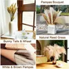 Faux Floral Greenery 80 PCS Pampas Grass Decor Decor