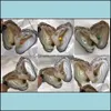 Perle Perle Lose Perlen Schmuck Großhandel 25 Color Akoya Oyster rund 6-8 mm Süßwasser Natural Ctured in Fresh Mussel Farm Supply Drop DHW96