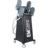 DLS-Emslim Machine Beauty Equipment met 2/4/5 RF handgrepen 14 Tesla Hi-Emt EmsZero Neo Muscle Sculping Electromagnetic Stimulator RF 5000W