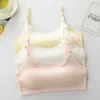 Camisole Cotton Tube 최고 속옷 학생 소녀 브래지