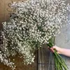 Vegetazione floreale finta Baby's Breath Fiori secchi Gypsophila Disposizione Fiori artificiali Decorazione di nozze Fleurs Sechees Natale Decorazioni per la casa 220906