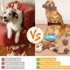 Собачьи игрушки жуют жевать к агрессивному жеванию щенка