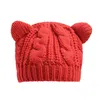 Wool Warm Beret Twist Winter Koreaanse versie Cat Ears breien Groothandel