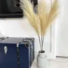 Faux Floral Greenery 1pc Pampas Pampas Reed Home Plum Grass Decor Wedding Arch Fake Plant Room Room Vase Garden Flowers J220906