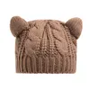 Wool Warm Beret Twist Winter Koreaanse versie Cat Ears breien Groothandel