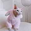 Костюмы для кошек сфинкс безволоса