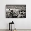 Canvas Paintings Scottish Highland Cow Yak Animal Posters Wall Art Prints Pictures on Canvas Prints for Living Room Modern Home Decoration NO FRAME