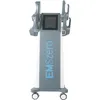 4 Griffe DLS-EMSlim Muskelstimulator RF Body Slimming EMSZERO Beauty Equipment EMS Sculpting Machine