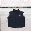 Veste de luxe pour hommes et femmes de style veste de créateur pour hommes et femmes de haute qualité hiver gilet chaud pour hommes