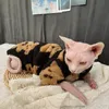 Костюмы для кошек C C осень зимний котенок теплый густой пив Devin Rex Costume Sphynx Costum