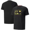 F1 Team Special Edition T-Shirt Erkek Yarış Serisi Sports Quick Dry Top Artı Boyutu Özel Yarış Takım