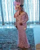 2022 Arabic Aso Ebi Pink Mermaid Prom Dresses Lace Beaded Evening Formal Party Second Reception Birthday Engagement Gowns Dress ZJ888