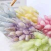 Faux Floral Greenery 30Pcs Natural Pink Bunny Tails Grass Dried Rabbit Grass Flower Bouquet For Interior Decoration Accessories Photography Props J220906