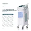 Microdermabrasion Machine Blackhead Removal Professional Diamond Dermabrasion Vertical Equipment Användarmanual