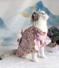 Fantasias de gato vestuário cão original de estilo japonês kimono algodão primavera e roupas de cão de outono e roupas de cachorro 220908