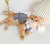 Trajes de gato vestu￡rio para c￣es roupas de estima￧￣o para c￣es pequenos gatos primavera ver￣o fino respir￡vel colar colarinho de sacola de gato de c￣o 220908