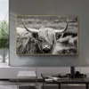 Canvas Paintings Scottish Highland Cow Yak Animal Posters Wall Art Prints Pictures on Canvas Prints for Living Room Modern Home Decoration NO FRAME